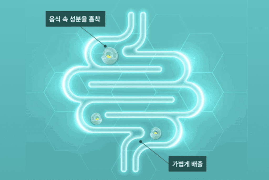 알파식이섬유, 지방흡착 후 배출하는 원리를 담은 이미지