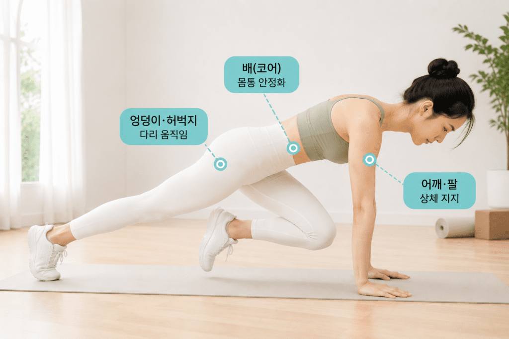 마운틴 클라이머 운동 시 코어와 어깨 등 자극 부위 안내