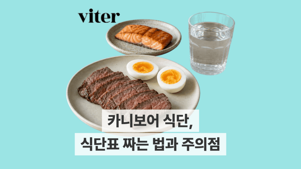 육류와 달걀로 구성한 카니보어 식단과 식단표 짜는 법