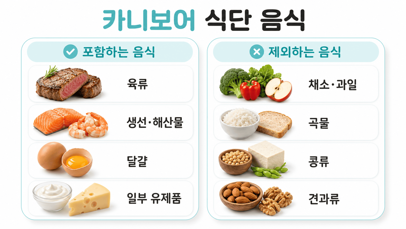 육류와 달걀로 구성한 카니보어 하루 세끼 식단표