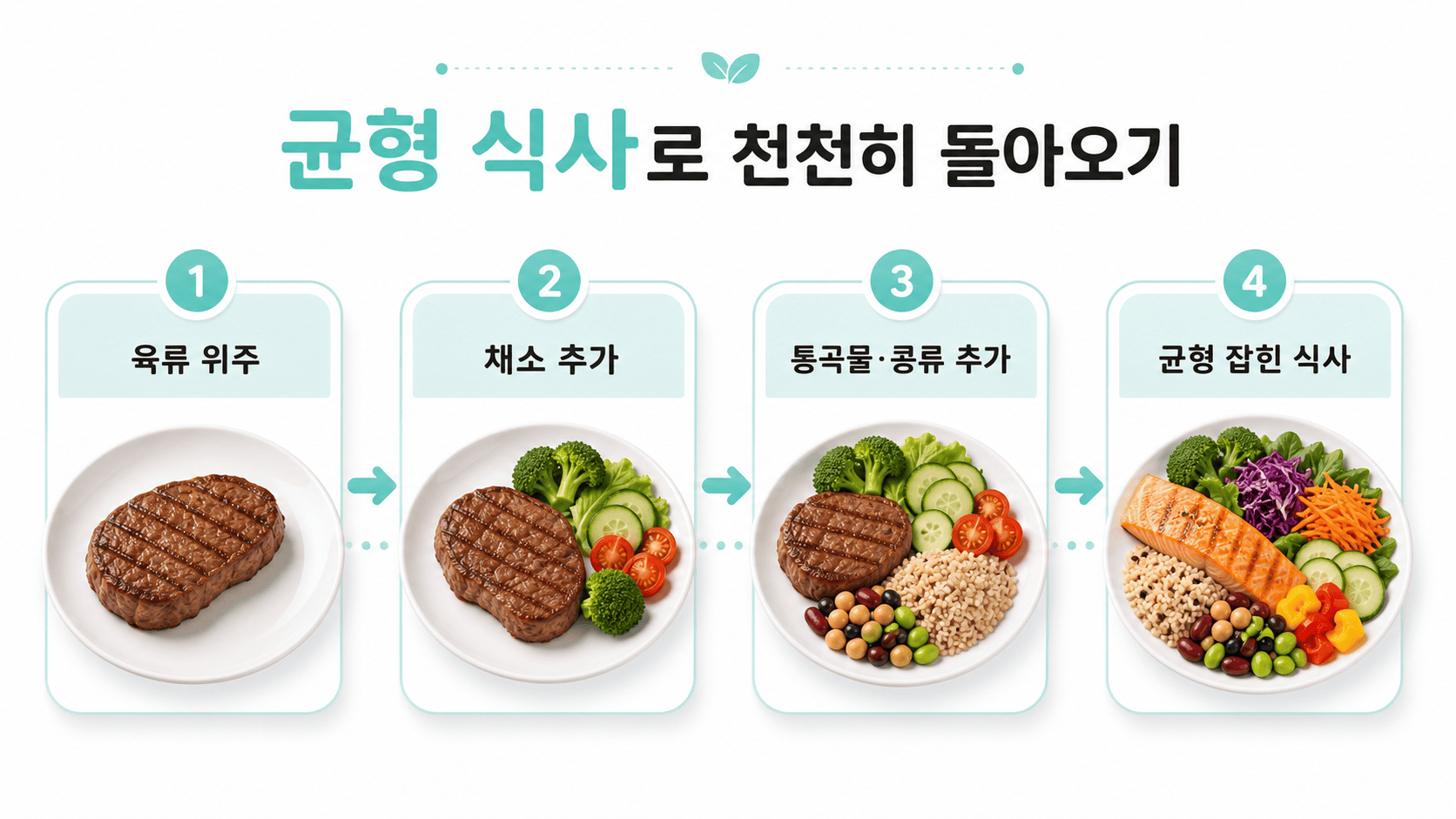 카니보어 식단 후 식품군을 단계적으로 늘리는 순서