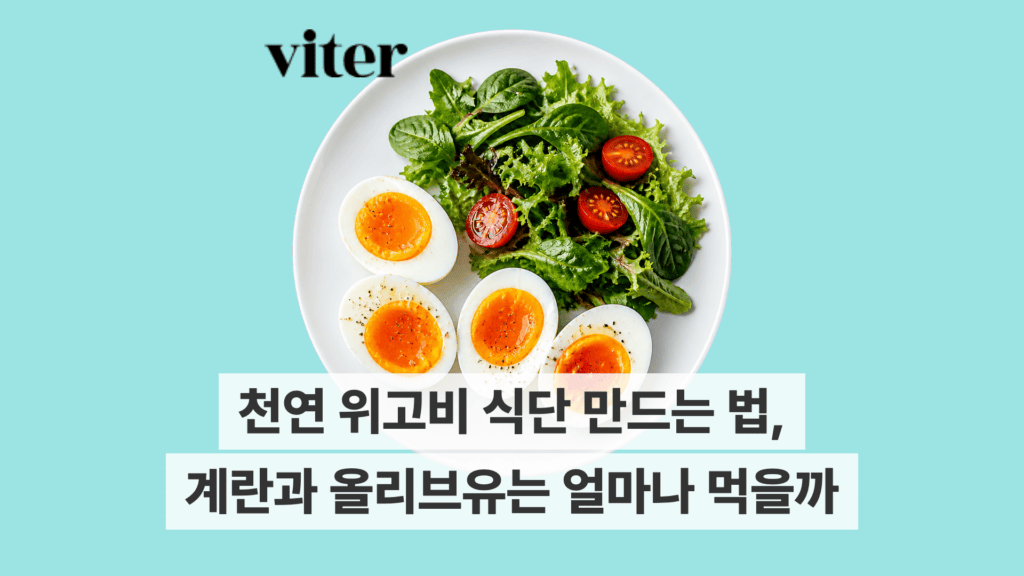 민트 배경에 계란과 올리브유 식단이 놓인 천연 위고비 식단 대표 이미지