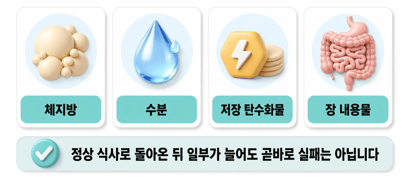 체지방, 수분, 저장 탄수화물, 장 내용물로 체중 감소 요인을 보여줌.