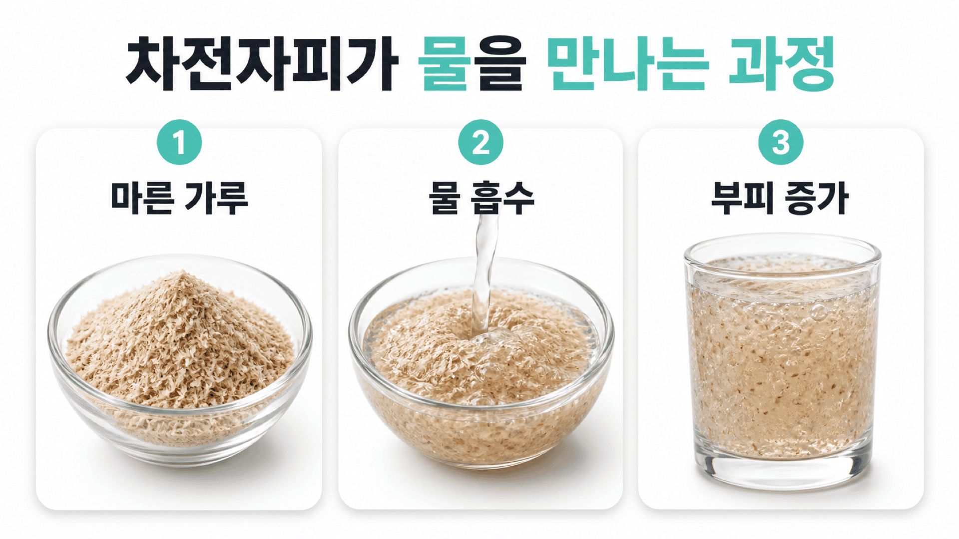 마른 차전자피 가루가 물을 흡수해 부피가 커지는 과정