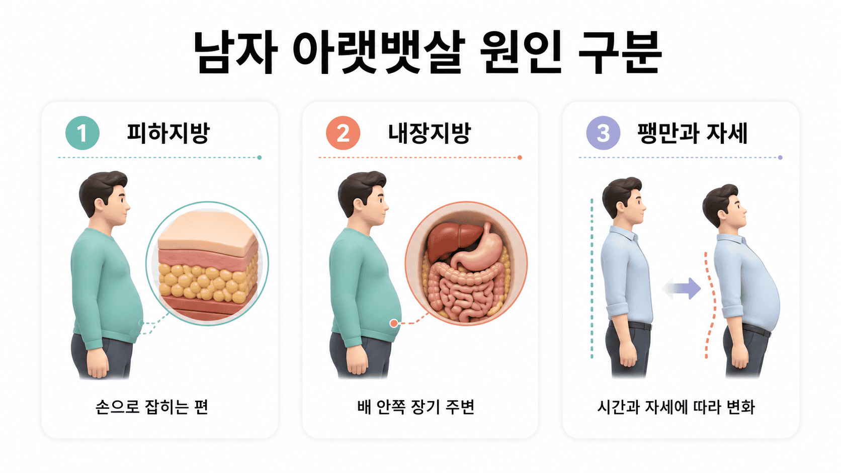 남자 아랫뱃살의 원인을 피하지방, 내장지방, 팽만과 자세로 구분하여 제시.