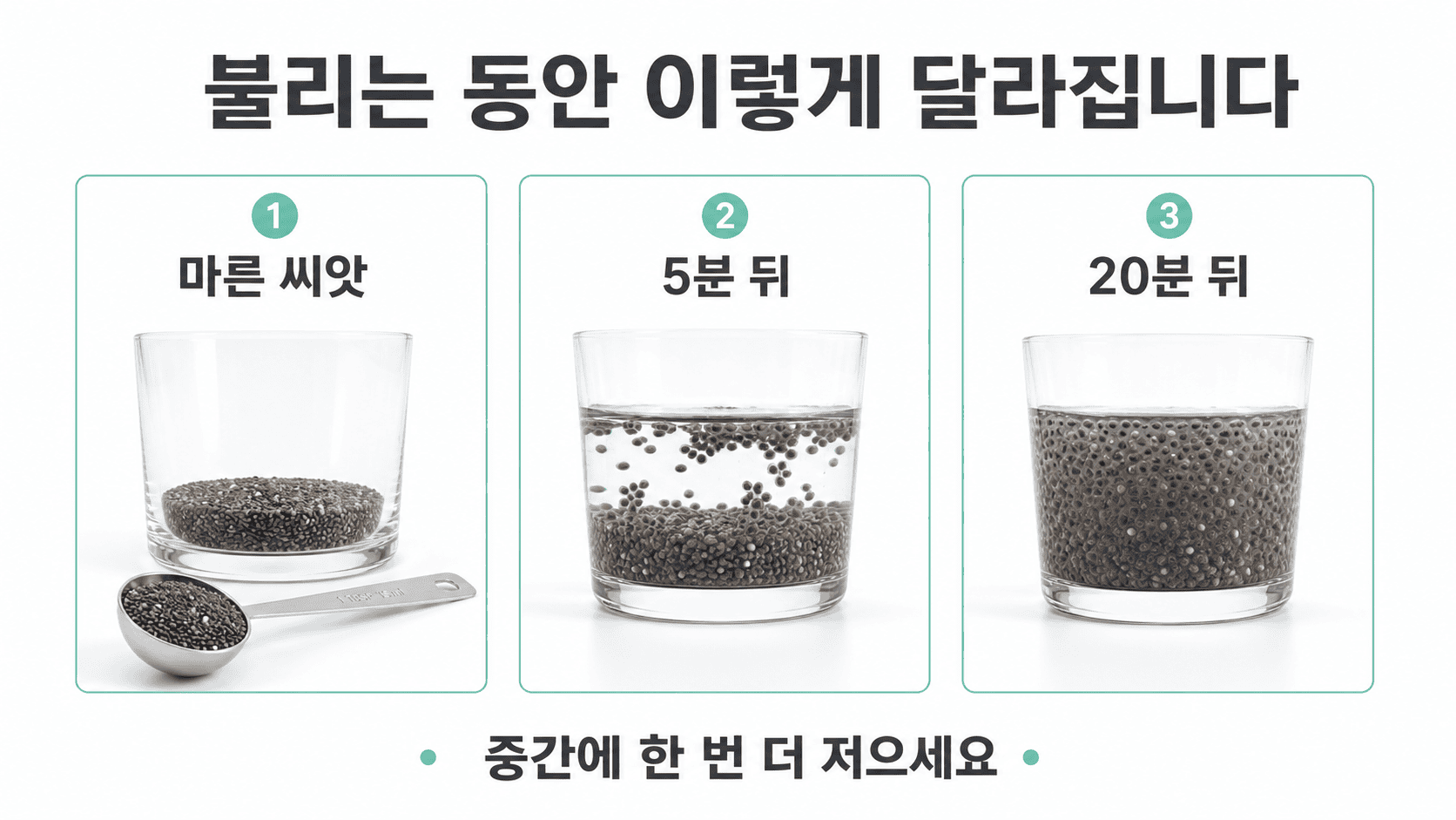 물에 불린 치아씨드가 5분 후 일부 젤화되고 20분 후 완전히 불어나 양이 늘어난 상태.