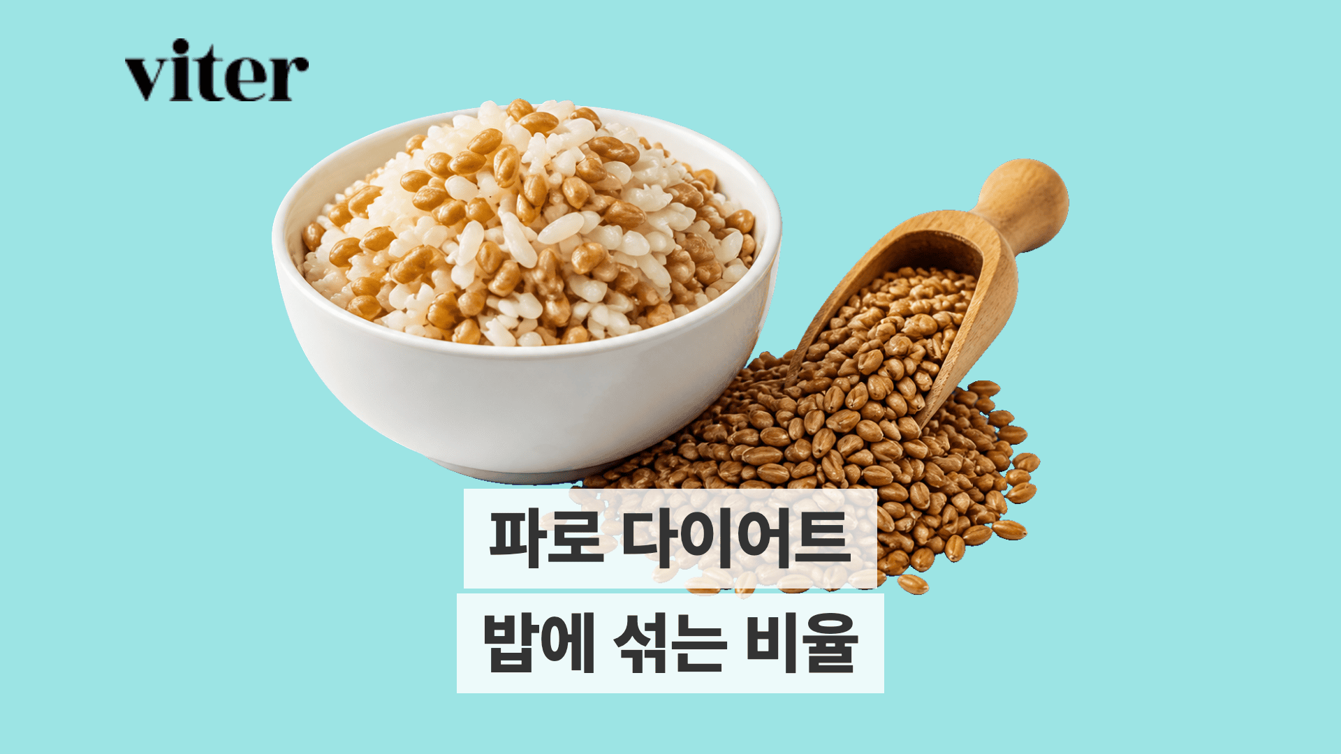 흰쌀과 파로가 섞인 밥 한 그릇, 옆에 파로 곡물이 담긴 나무 스쿱.