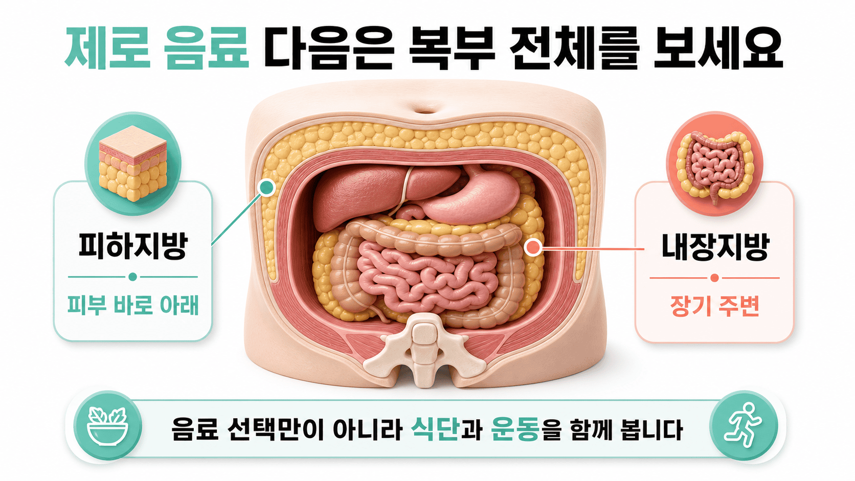 복부의 피하지방과 내장지방 위치를 구분한 인포그래픽